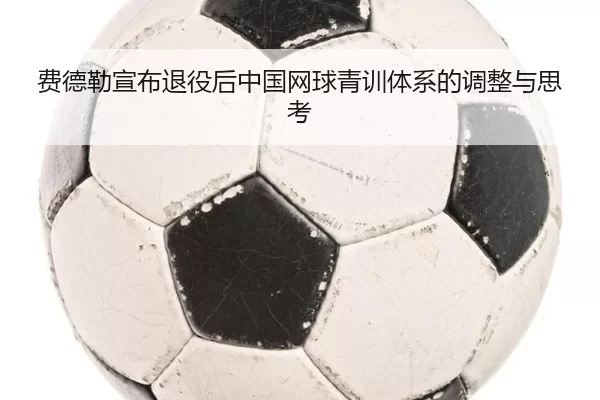 费德勒宣布退役后中国网球青训体系的调整与思考